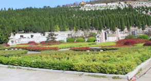 陵园风景图-3